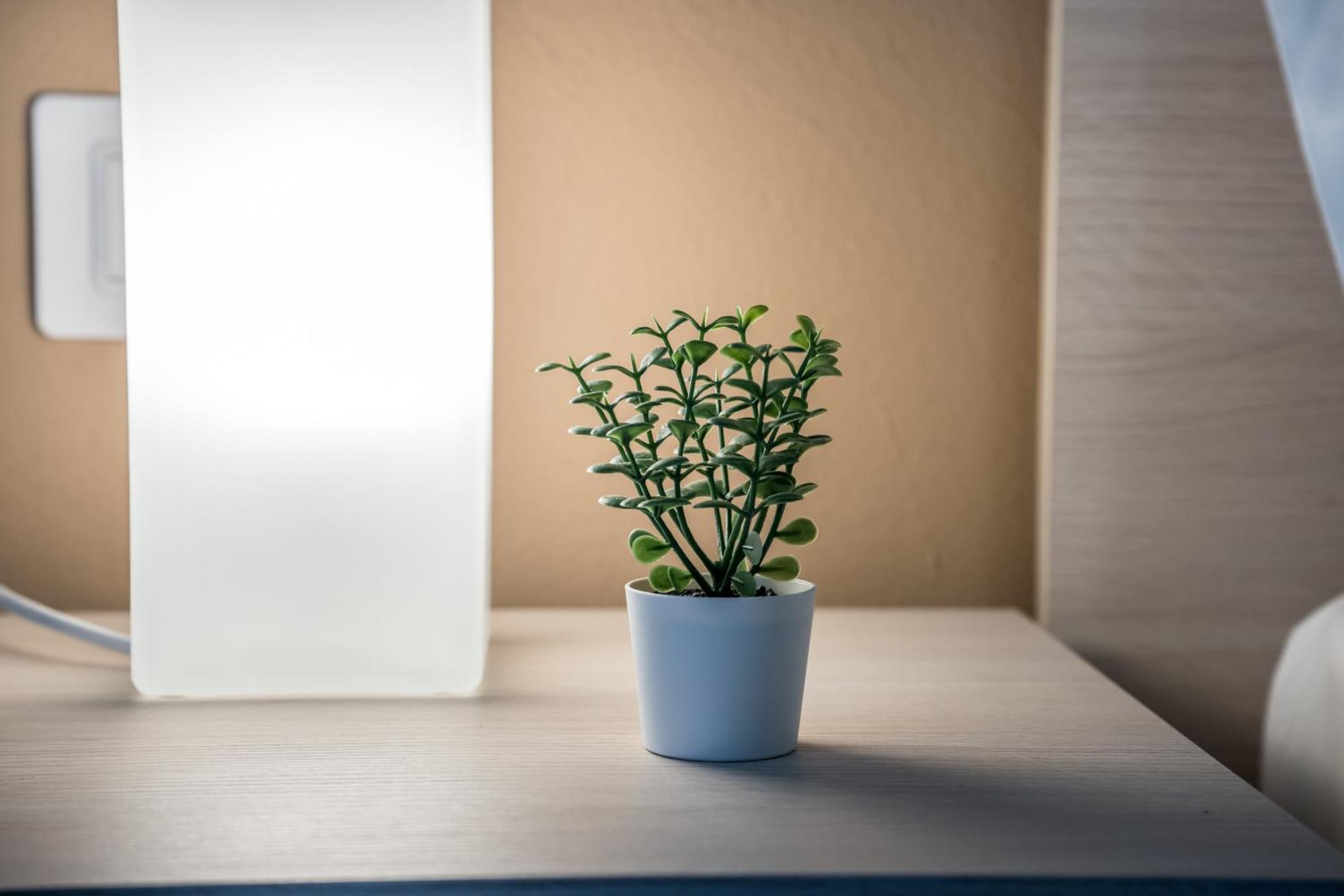 Shortmi Canonica Appartement *